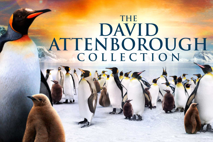 Debenhams Gifting Packaging by Space Five Creative